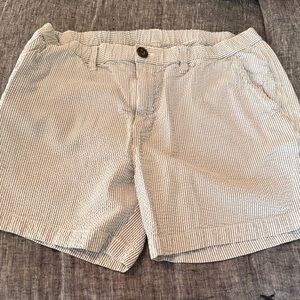 Chubbies Men's Blue and White Striped Shorts